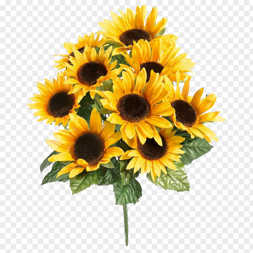 Flower Common Sunflower Floral Design Cut Flowers Bouquet PNG