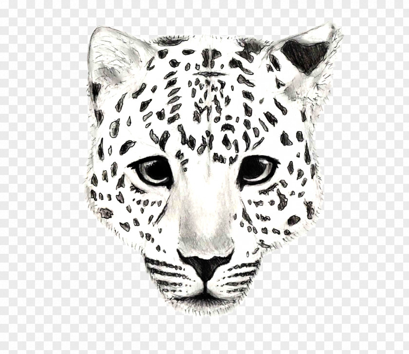 Leopard Snow Jaguar Tiger Cheetah PNG