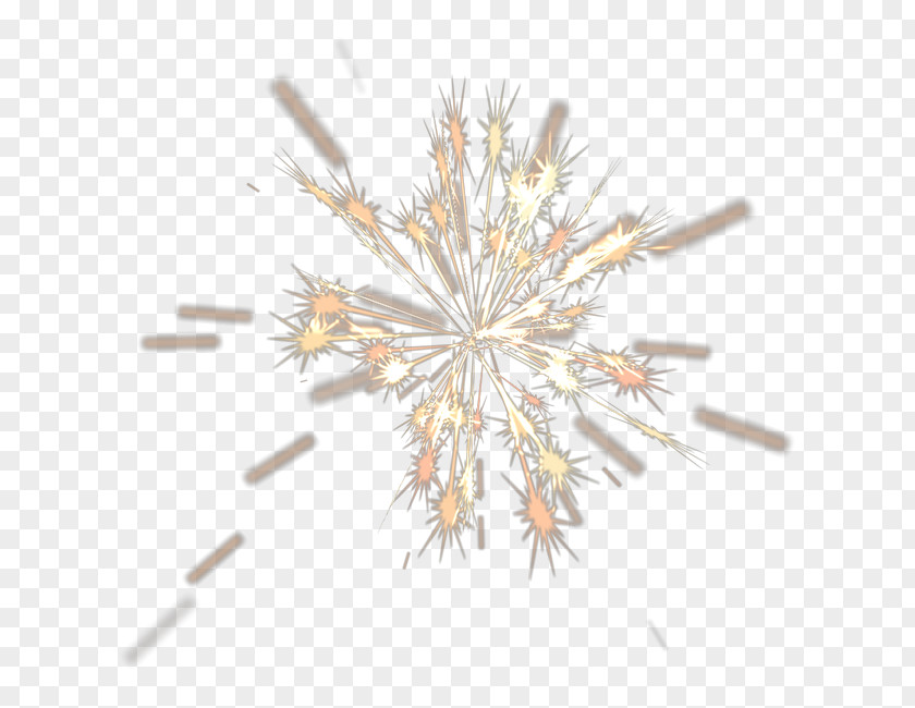 Light Source,Light Effect Fireworks PNG