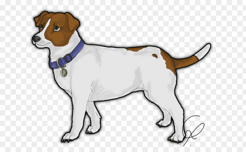 Puppy Dog Breed English Foxhound Harrier Jack Russell Terrier PNG