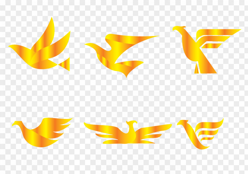 Vector Golden Eagle Collection Icon Bird Logo PNG