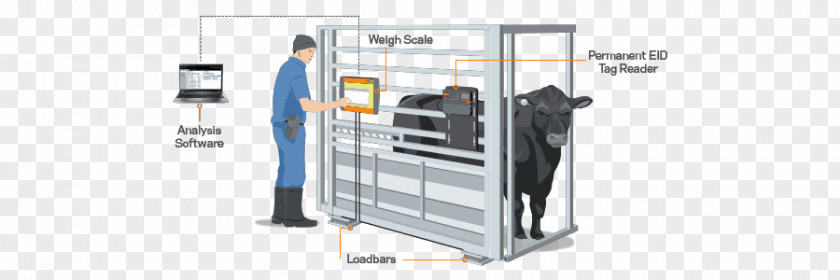 Weighing-machine Electronic Identification Electronics Measuring Scales Goat Animal PNG