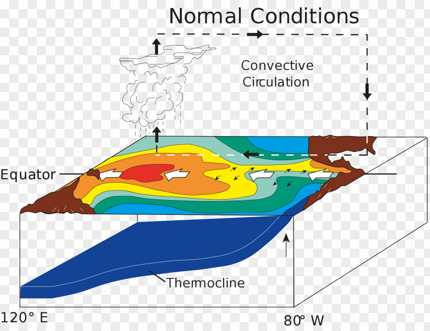 Wind El Niño–Southern Oscillation La Niña Indeks Oscylacji Południowej Sea Surface Temperature PNG