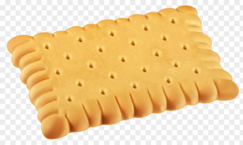 Biscuit Custard Cream Chocolate Sandwich Biscuits PNG