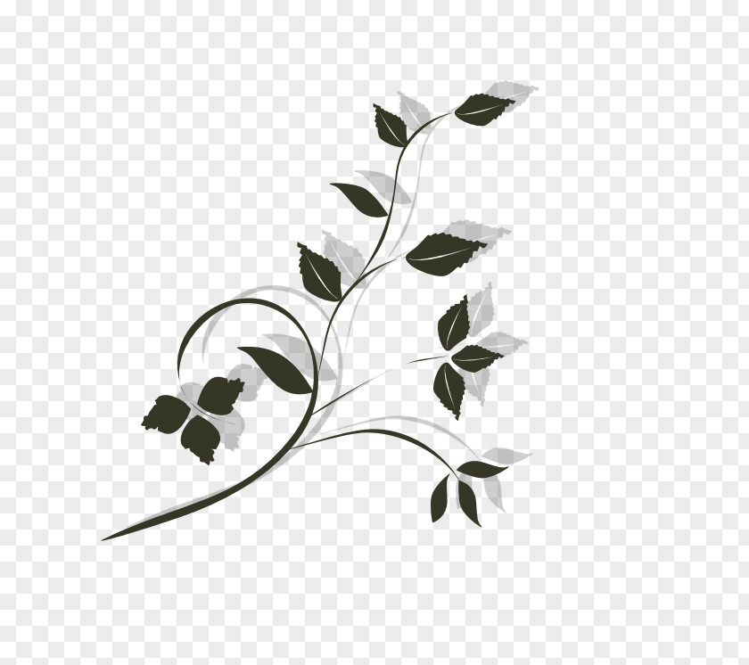 Design Twig White PNG