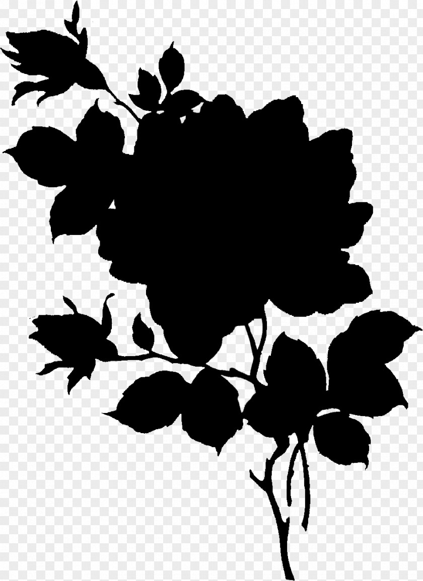 Grape Silhouette Flower Leaves PNG