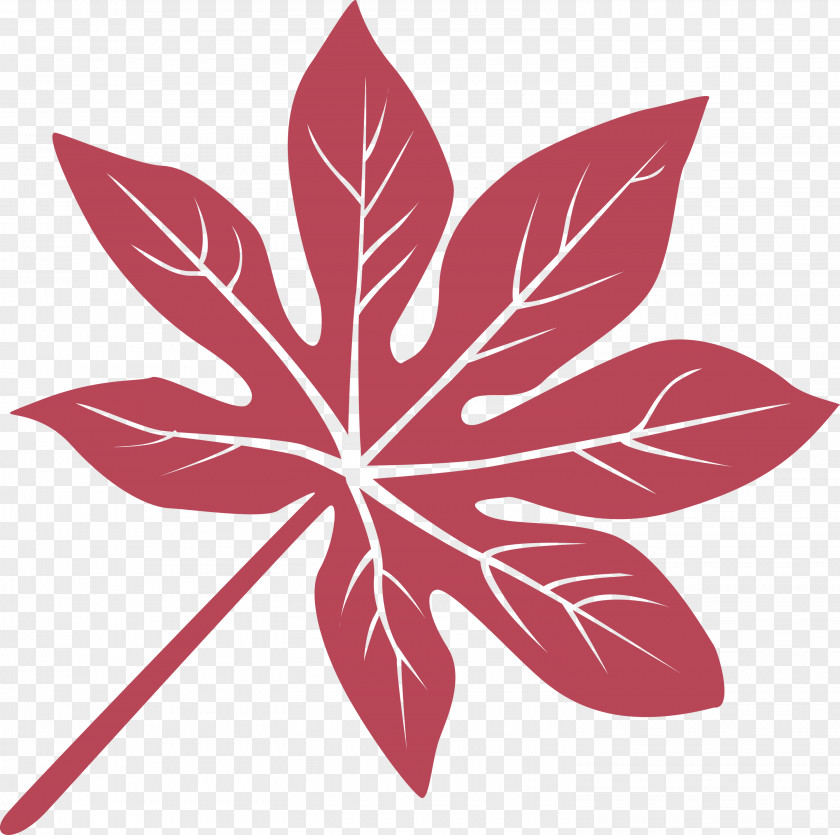 Leaf PNG