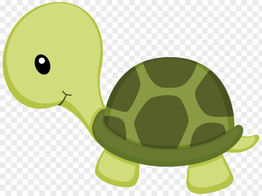 Under Sea Turtle Drawing Clip Art PNG
