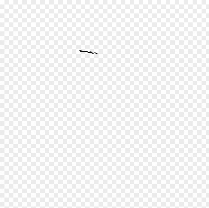 Angle White Point PNG