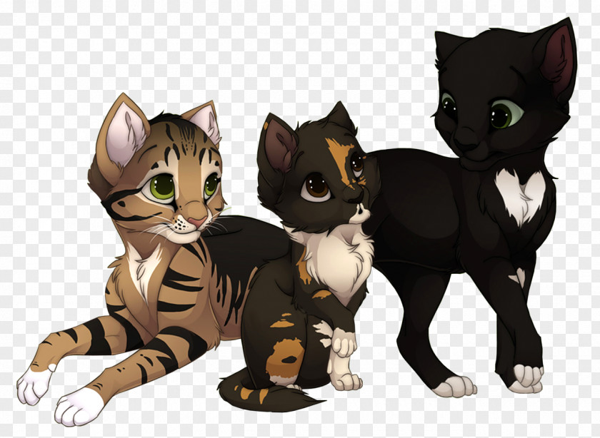 Cats Cat Warriors Kitten Ravenpaw Firestar PNG