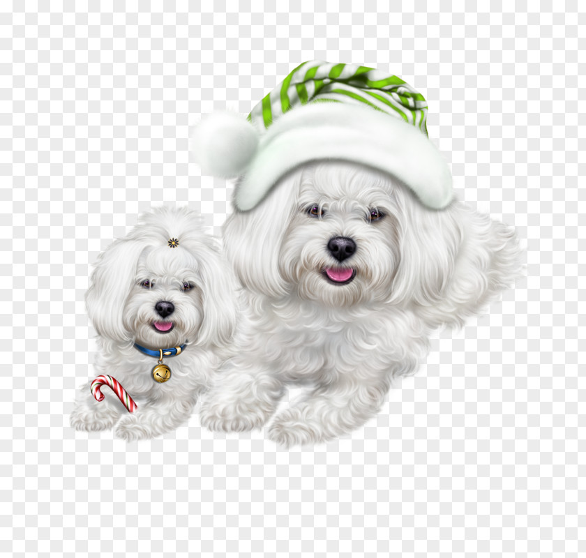 Dog 0 Symbol Clip Art PNG