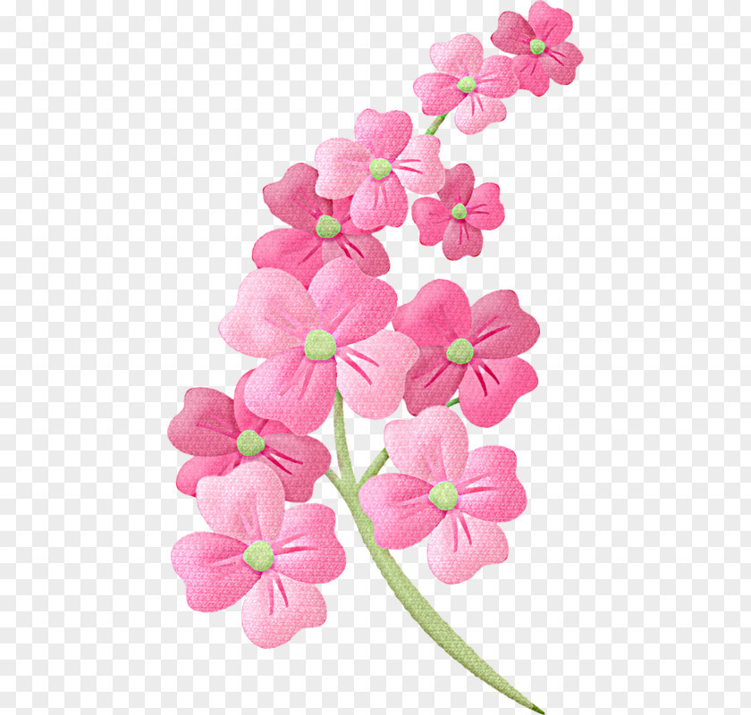 Flower Floral Illustrations Clip Art PNG