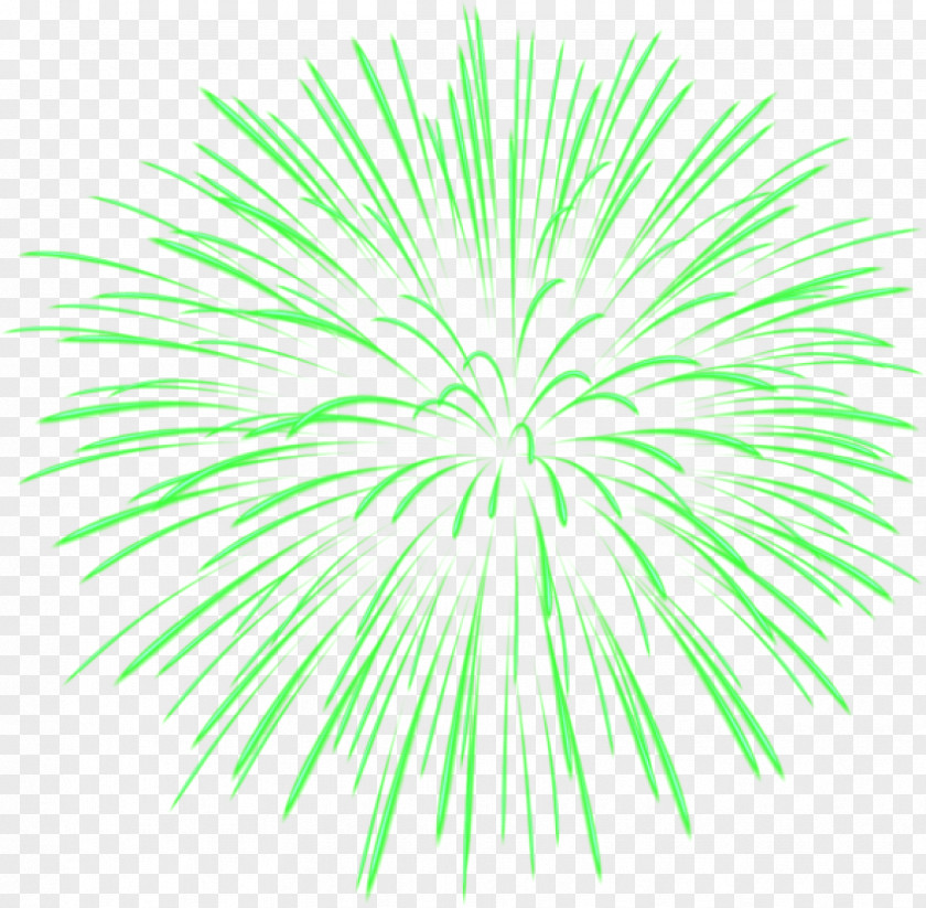 Fireworks Clip Art Image Transparency Openclipart PNG