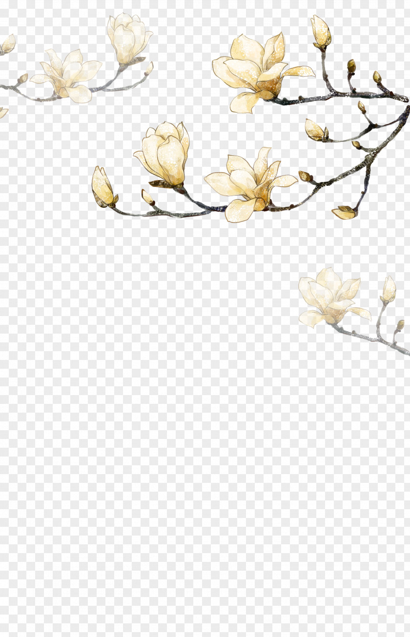 Hand-painted Flowers Corner Decorative Background PNG