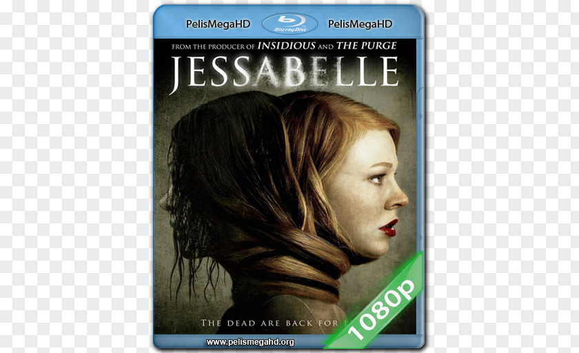 Horror Jessabelle Kevin Greutert Blu-ray Disc Film PNG
