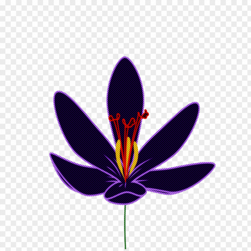Purple Flower Petal Plant Violet PNG