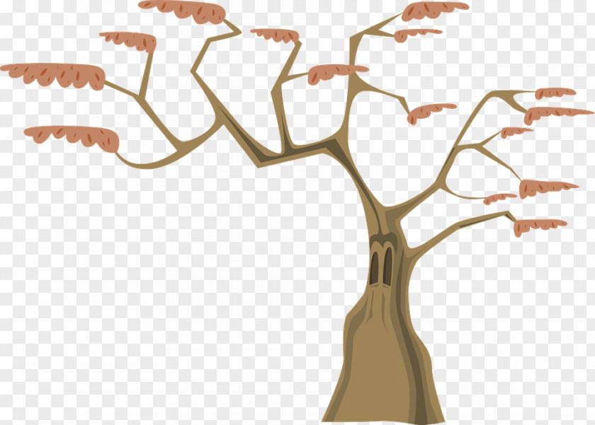 Tree Trunk Branch Clip Art PNG