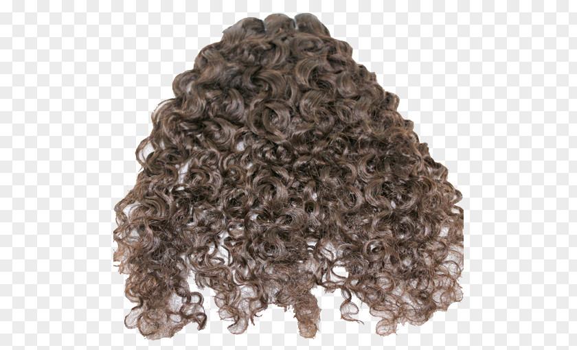 Curly Wig Long Hair Homo Sapiens PNG