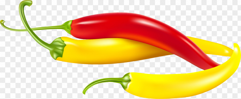 Hand-painted Colorful Pepper Capsicum Annuum Chinense Chili Vegetable PNG