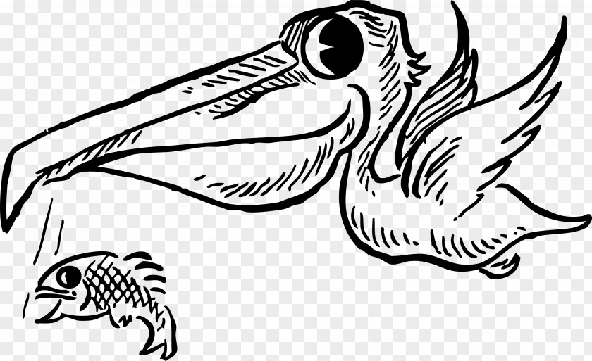 Pelican Cartoon Brown Drawing Clip Art PNG