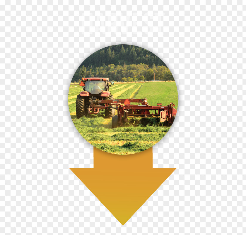 Rich Yield Agriculture EIMA INTERNATIONAL Organic Farming Tractor Alfalfa PNG