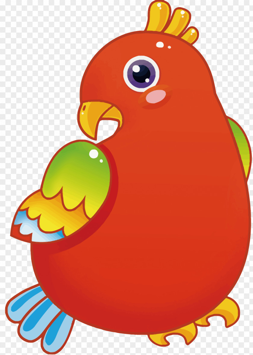 Vector Red Parrot Bird Cartoon PNG