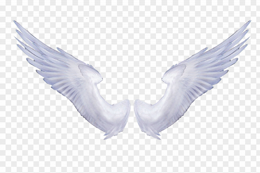 Angel Figure Wings Clip Art Image Transparency PNG