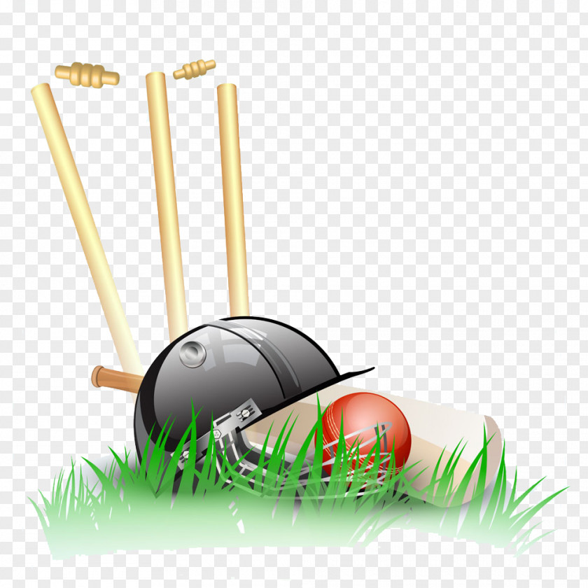 Cartoon Baseball Collection Papua New Guinea National Cricket Team Stump Wicket PNG