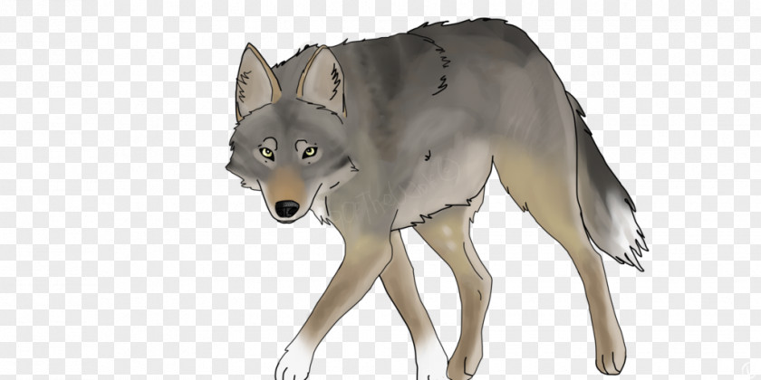 Coyote Saarloos Wolfdog Czechoslovakian Gray Wolf PNG
