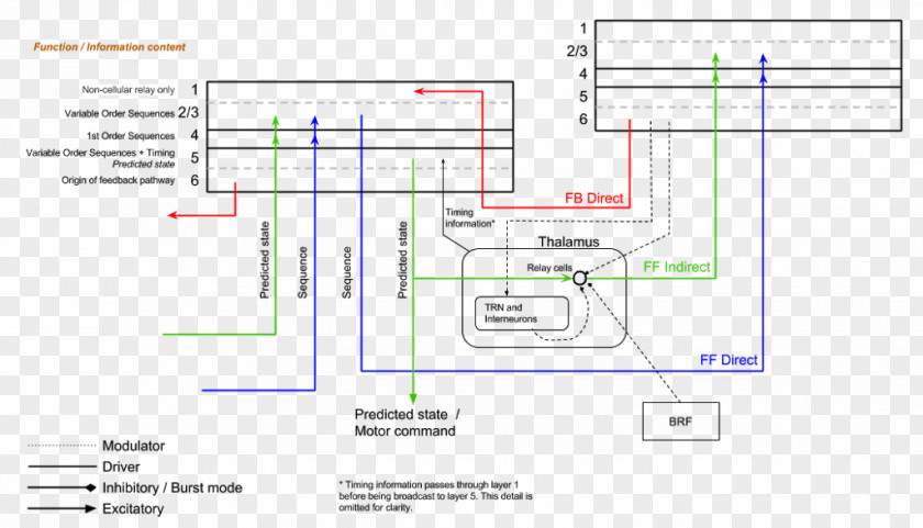 Design Line Angle Document PNG