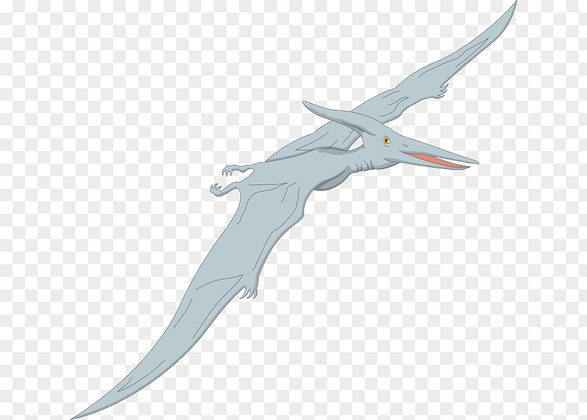 Dinosaur Quetzalcoatlus Pterosaurs Pterodactyls Pteranodon Velociraptor PNG