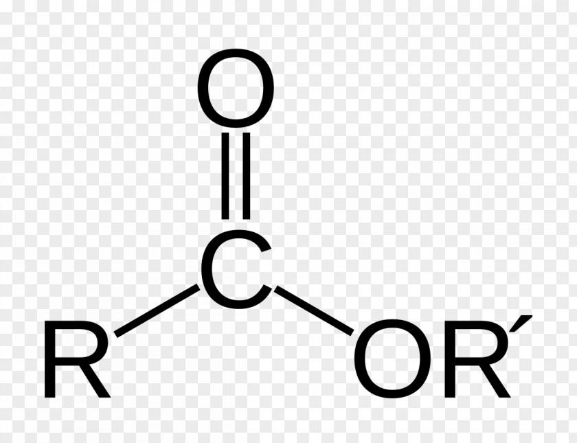 Ether Ant Formic Acid Carboxylic PNG