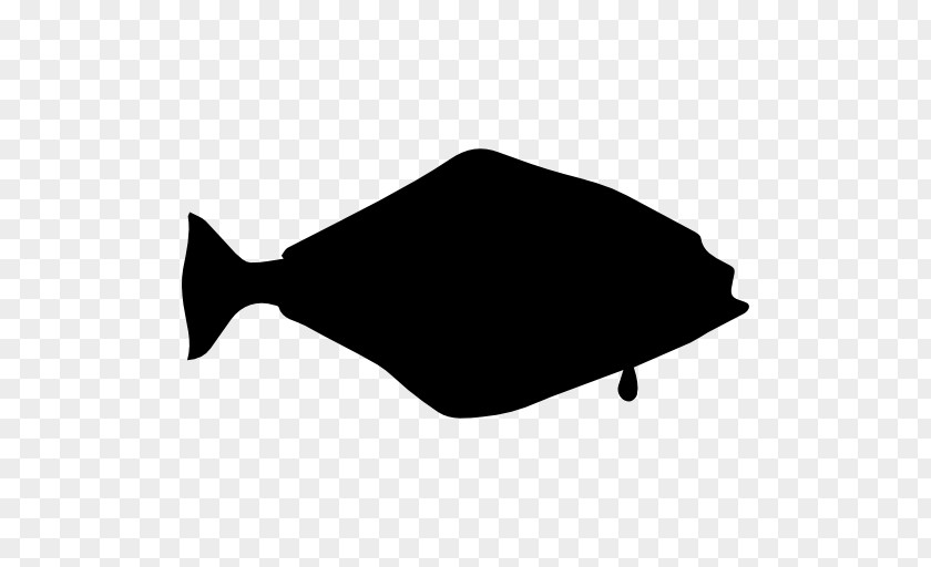 Fish Halibut Shape PNG