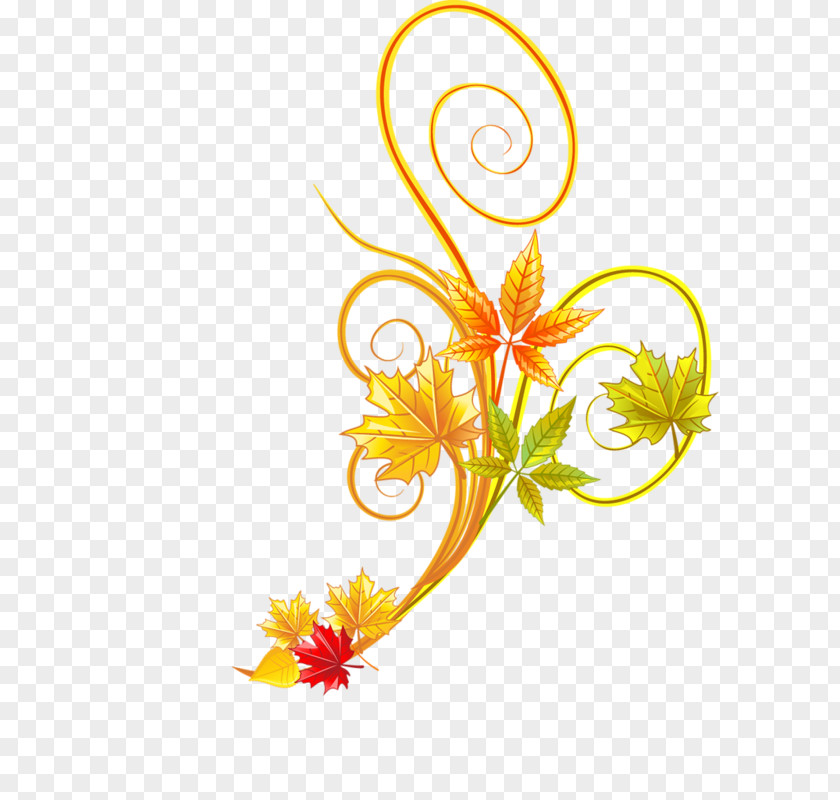 Gold Plant Floral Design Flower PNG