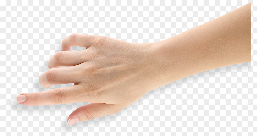 Group Hand Human Body Skin Arm Digit PNG