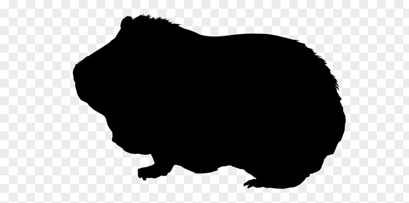 Guinea Pig Silhouette Rodent Clip Art PNG