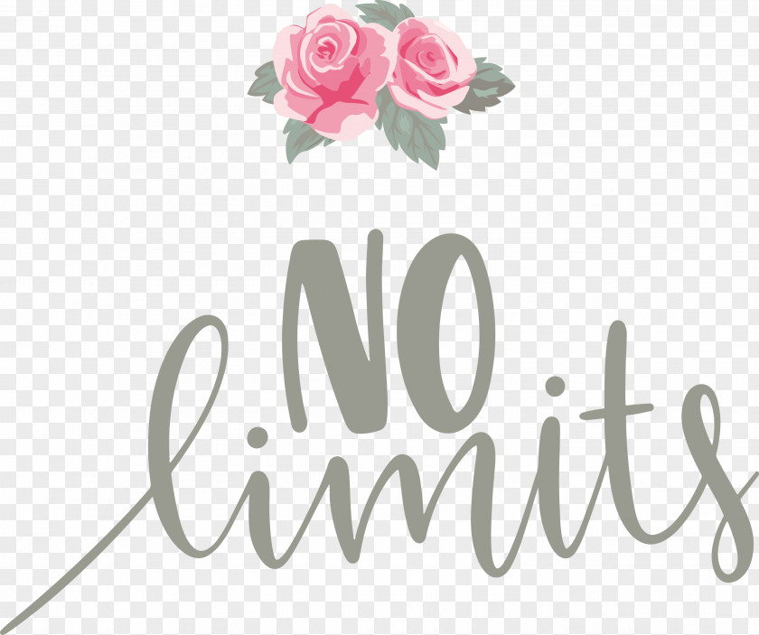 No Limits Dream Future PNG