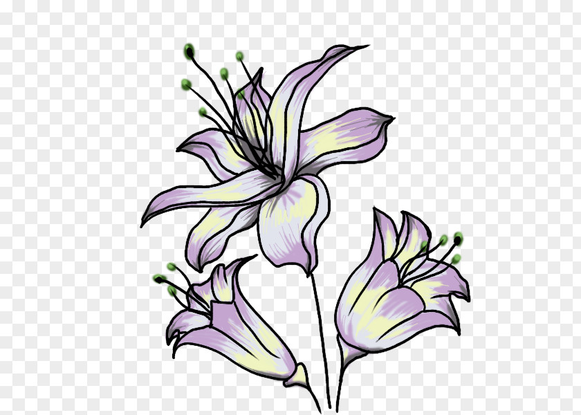 Plumeria Logo Flower Garden Drawing Watercolor Painting Art PNG