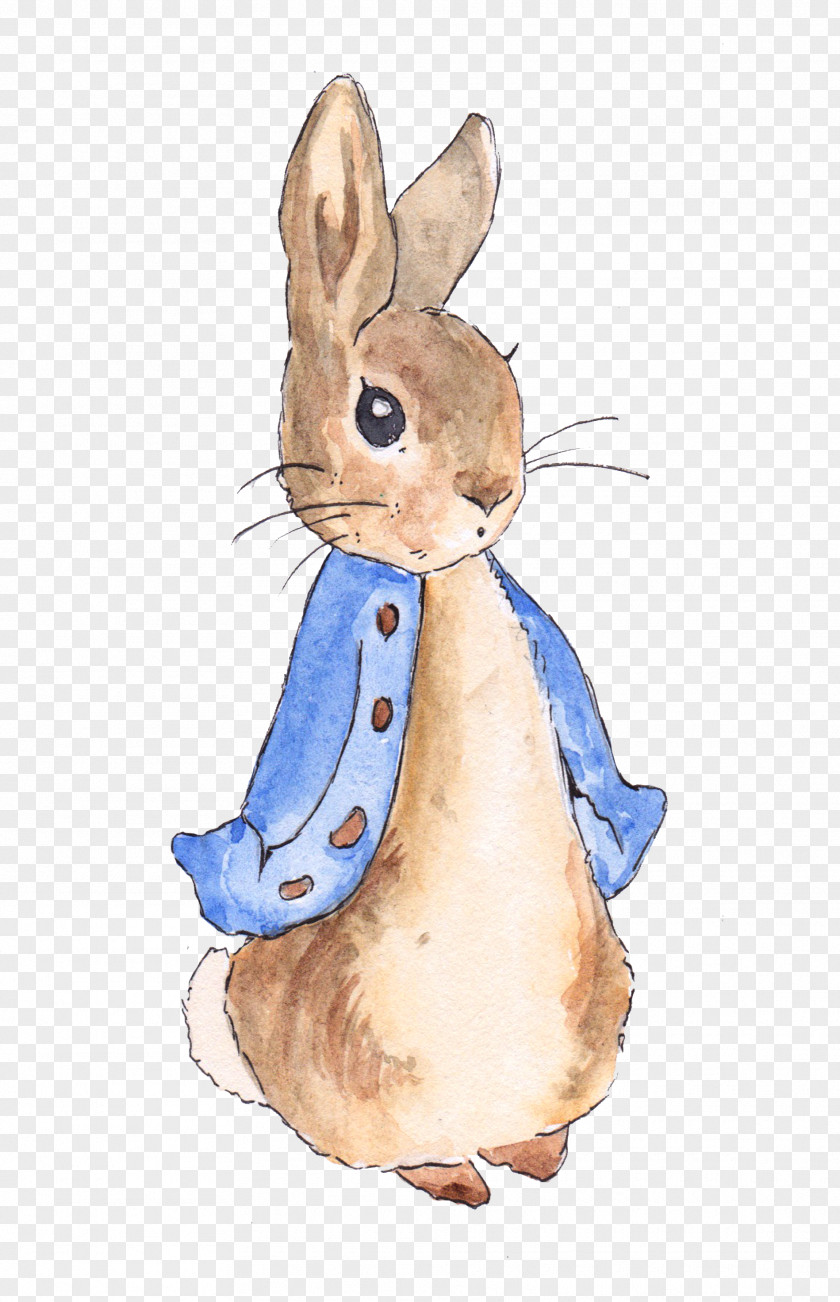 Rabbit The Tale Of Peter Flopsy Bunnies Create Your Own Nursery PNG