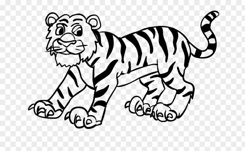 Tiger Whiskers Cat Drawing Visual Arts PNG