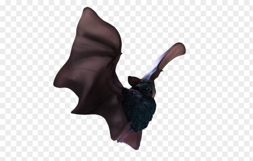 Ear Sculpture Bat Cartoon PNG