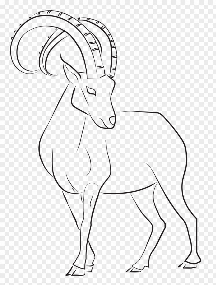 Goat Line Art Drawing Alpine Ibex Nubian PNG