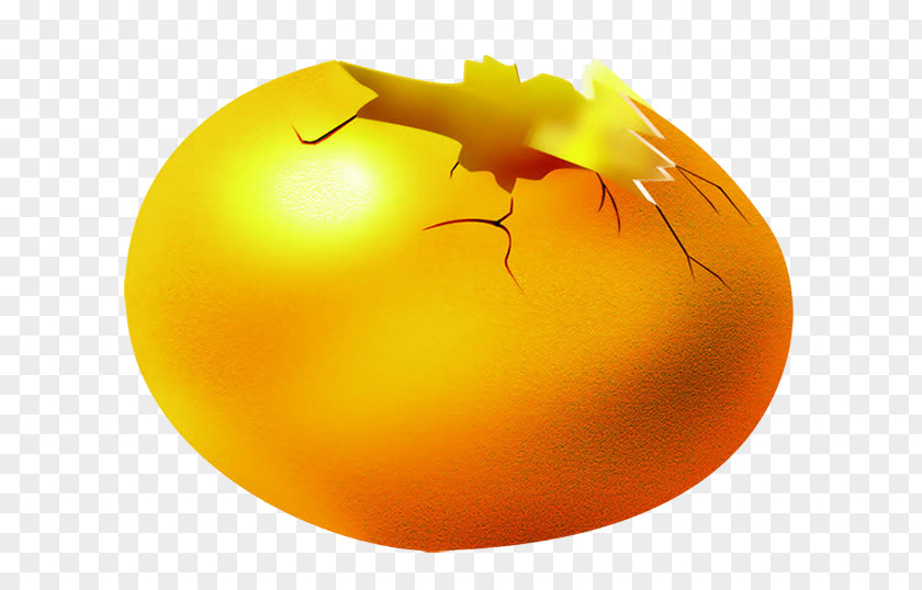 Golden Egg The Goose That Laid Eggs Chicken PNG