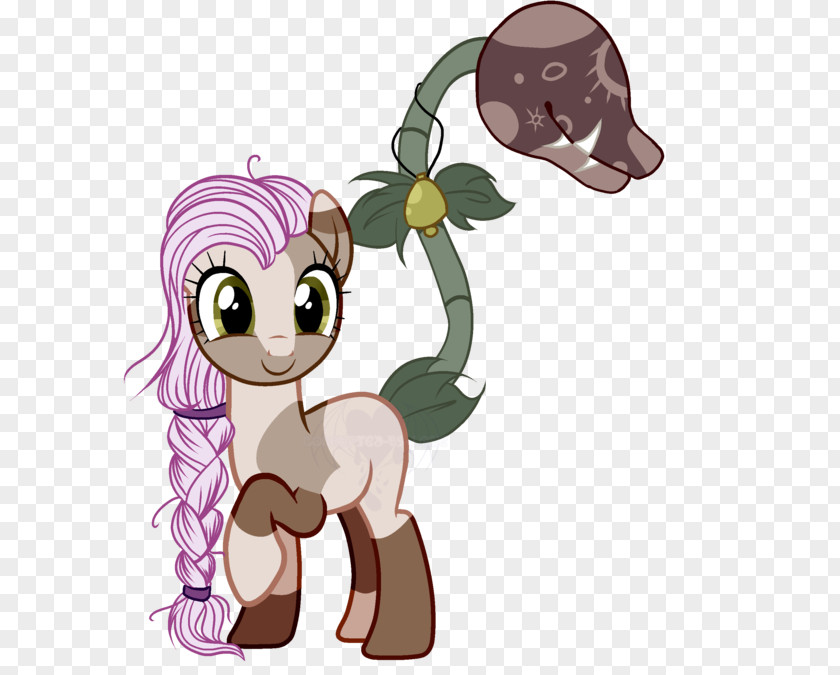 Horse Pony Cat Dog PNG