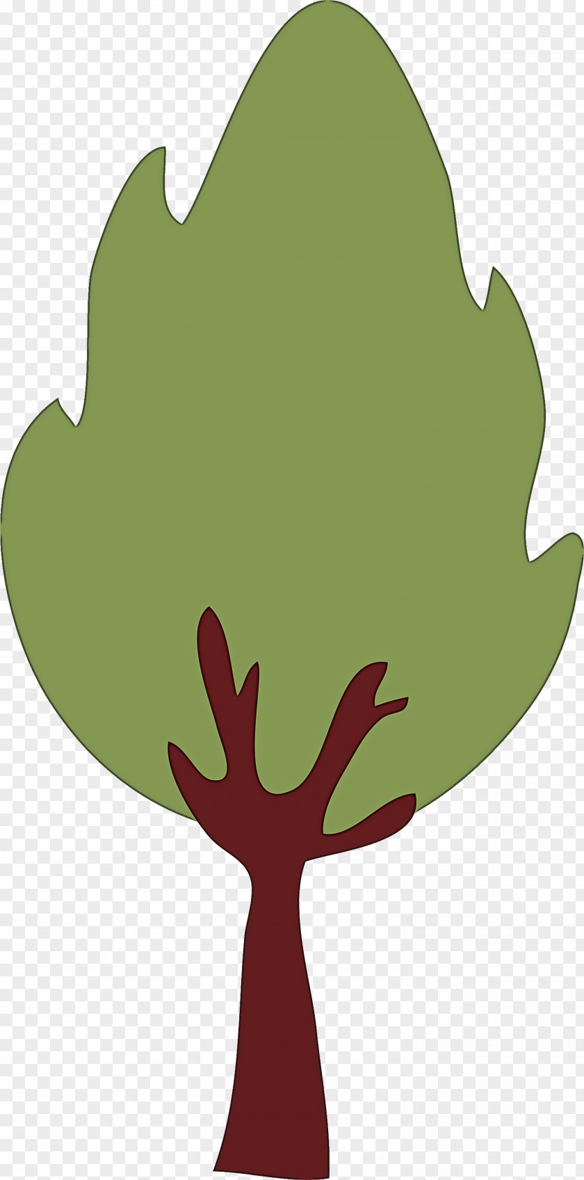 Leaf Green Tree Plant Woody PNG