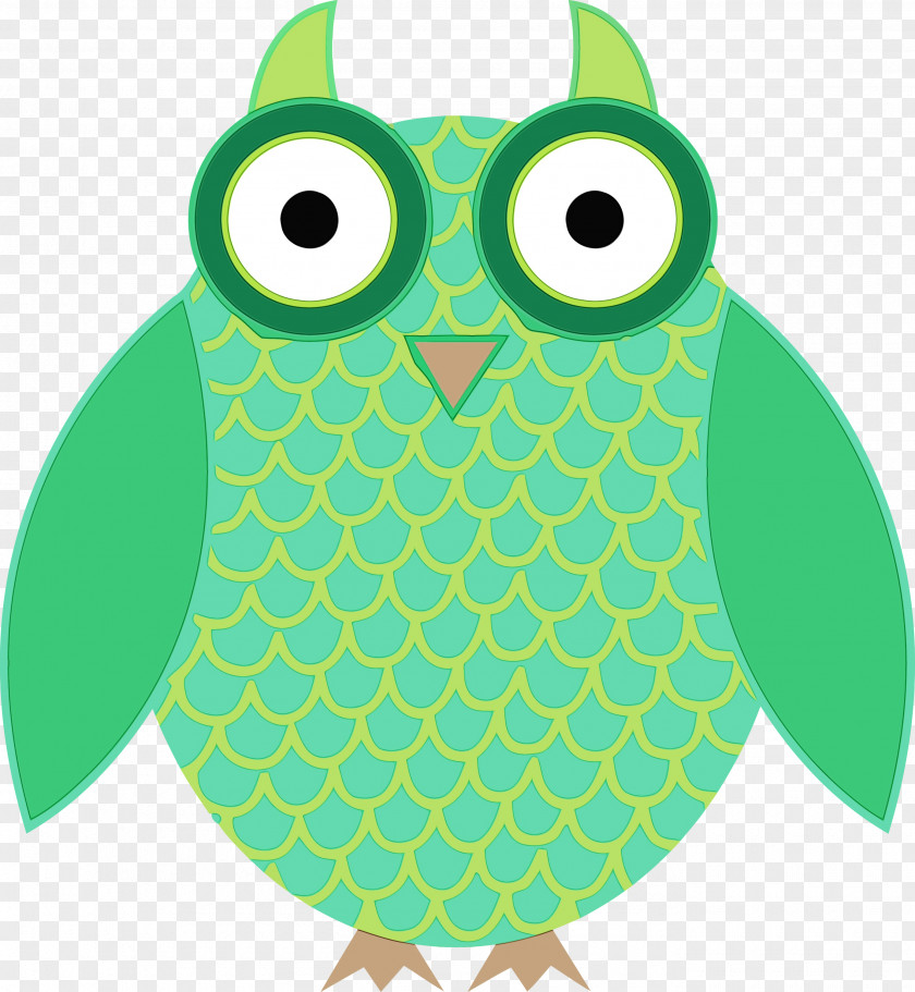 Owl Green Turquoise Bird Of Prey PNG