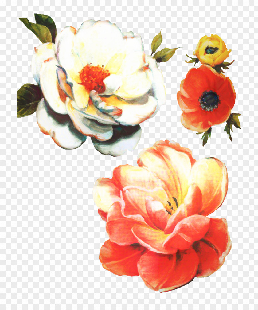 Rose Tulip Flower Art Watercolor PNG