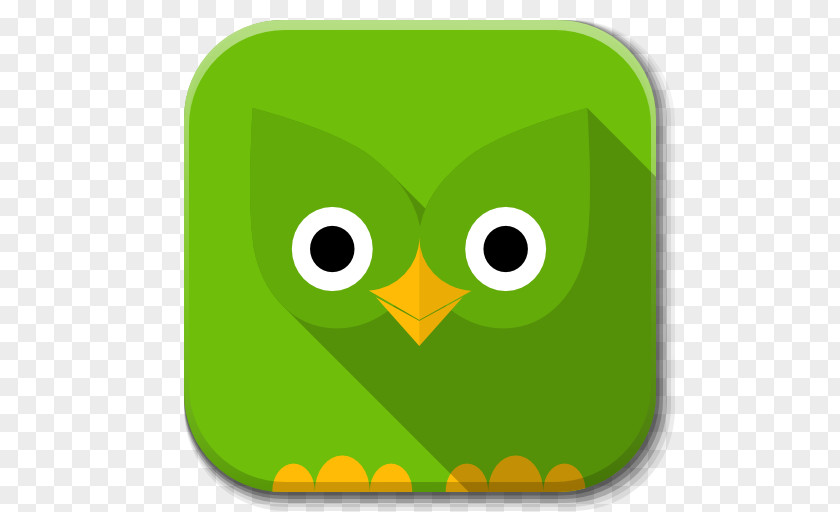 Apps Duolingo Owl Yellow Font PNG