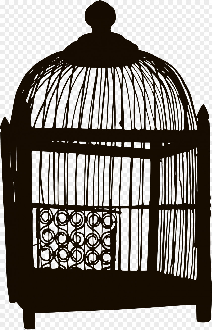 Birdcage Photography Clip Art PNG