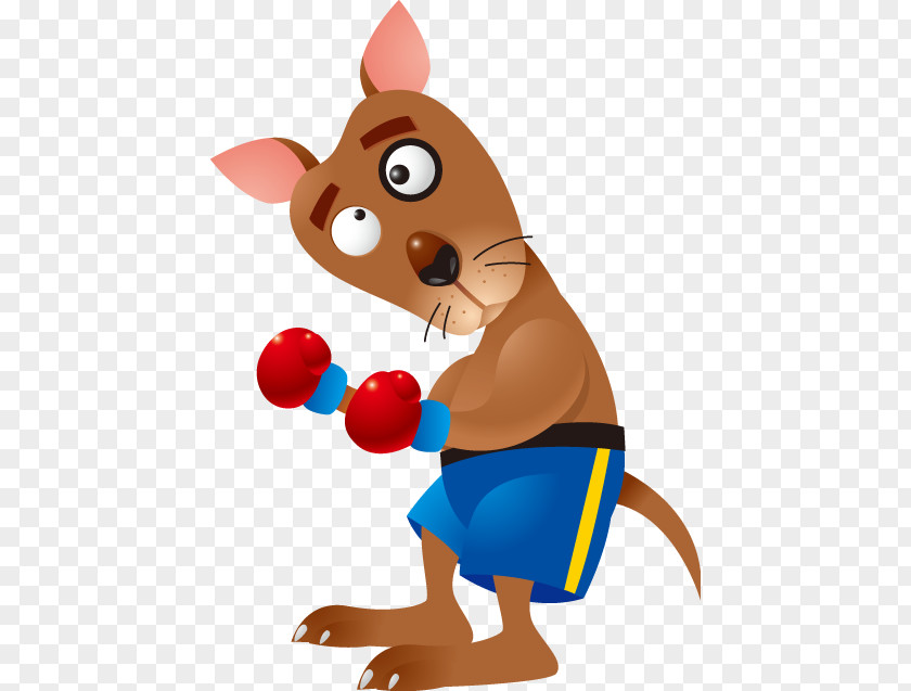 Kangaroo Boxing Cartoon Clip Art PNG